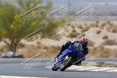 media/Apr-10-2022-SoCal Trackdays (Sun) [[f104b12566]]/Turn 5 Tree of Life (1040am)/